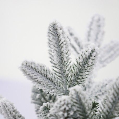 Albero di natale Innevato 210cm Giulia Grillo - 3